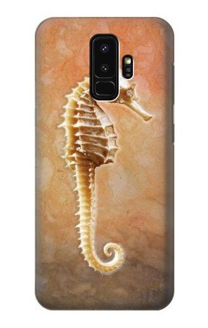 W2674 Seahorse Skeleton Fossil Hard Case and Leather Flip Case For Samsung Galaxy S9 Plus