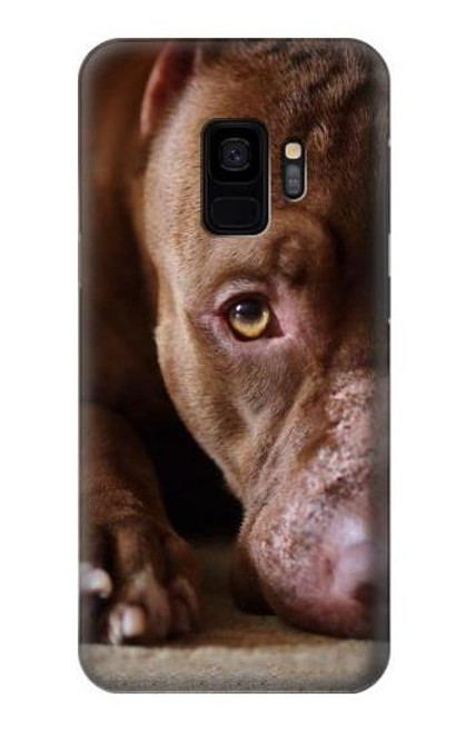 W0519 PitBull Face Hard Case and Leather Flip Case For Samsung Galaxy S9