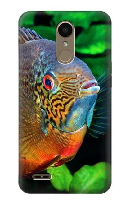 W1812 Cichlid Fish Hard Case and Leather Flip Case For LG K10 (2018), LG K30