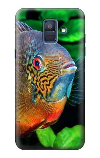 W1812 Cichlid Fish Hard Case and Leather Flip Case For Samsung Galaxy A6 (2018)