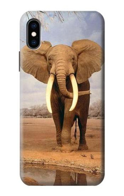 W0310 African Elephant Hard Case and Leather Flip Case For iPhone X, iPhone XS