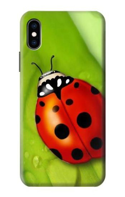 W0892 Ladybug Hard Case and Leather Flip Case For iPhone X, iPhone XS