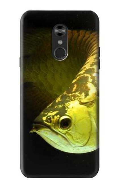 W1021 Gold Arowana Fish Hard Case and Leather Flip Case For LG Q Stylo 4, LG Q Stylus