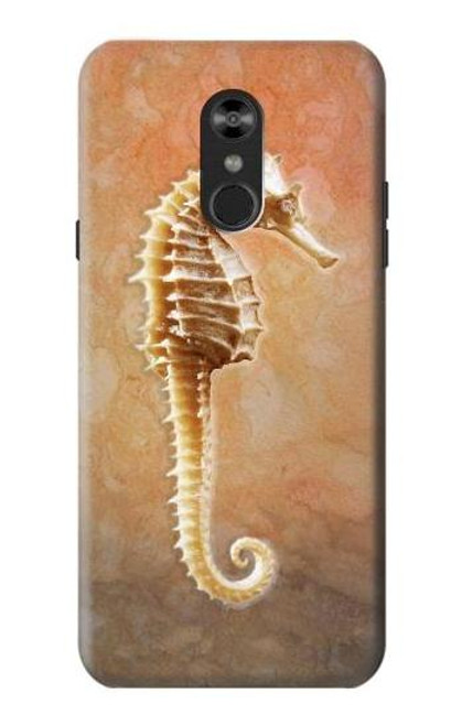 W2674 Seahorse Skeleton Fossil Hard Case and Leather Flip Case For LG Q Stylo 4, LG Q Stylus