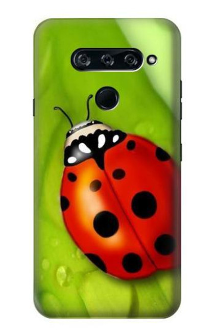 W0892 Ladybug Hard Case and Leather Flip Case For LG V40, LG V40 ThinQ