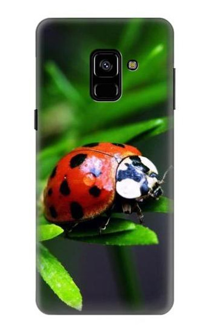 W0263 Ladybug Hard Case and Leather Flip Case For Samsung Galaxy A8 (2018)