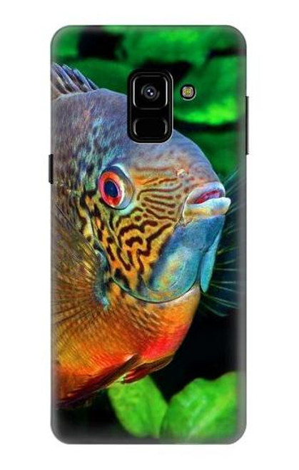 W1812 Cichlid Fish Hard Case and Leather Flip Case For Samsung Galaxy A8 (2018)