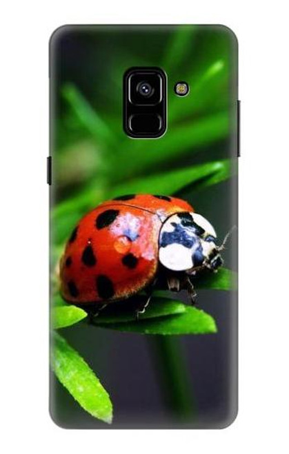 W0263 Ladybug Hard Case and Leather Flip Case For Samsung Galaxy A8 Plus (2018)