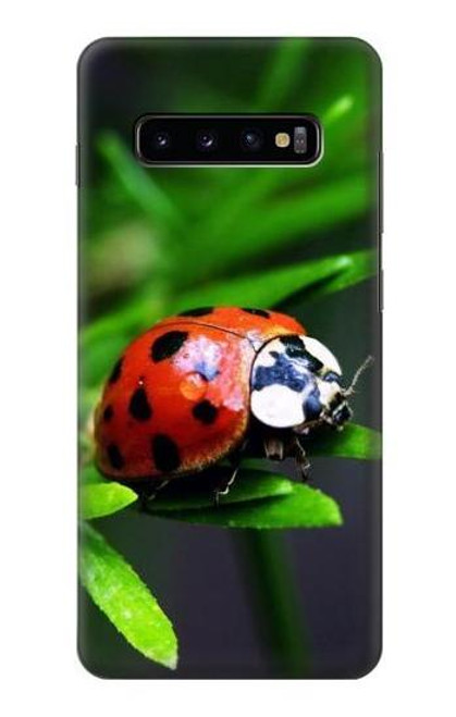 W0263 Ladybug Hard Case and Leather Flip Case For Samsung Galaxy S10 Plus