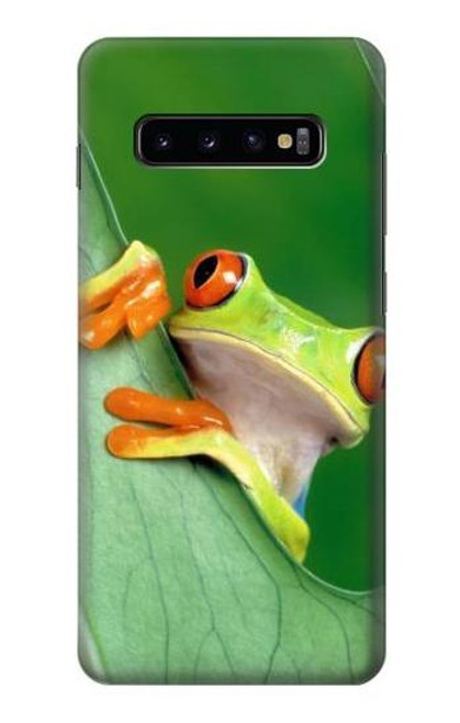 W1047 Little Frog Hard Case and Leather Flip Case For Samsung Galaxy S10 Plus