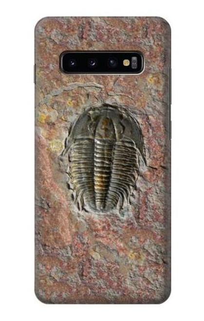 W1454 Trilobite Fossil Hard Case and Leather Flip Case For Samsung Galaxy S10 Plus