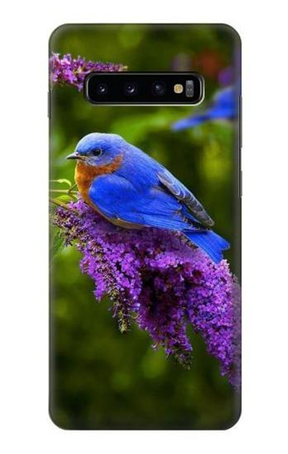 W1565 Bluebird of Happiness Blue Bird Hard Case and Leather Flip Case For Samsung Galaxy S10 Plus