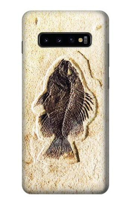 W2562 Fossil Fish Hard Case and Leather Flip Case For Samsung Galaxy S10 Plus