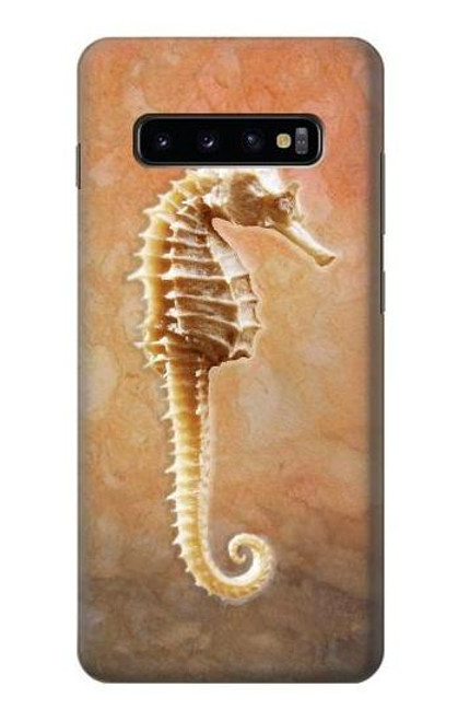W2674 Seahorse Skeleton Fossil Hard Case and Leather Flip Case For Samsung Galaxy S10 Plus