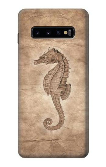 W3214 Seahorse Skeleton Fossil Hard Case and Leather Flip Case For Samsung Galaxy S10 Plus