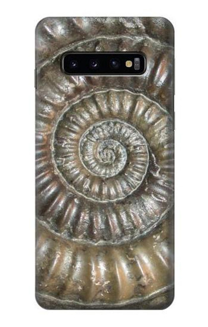 W1788 Ammonite Fossil Hard Case and Leather Flip Case For Samsung Galaxy S10