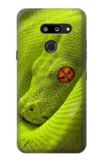 W0785 Green Snake Hard Case and Leather Flip Case For LG G8 ThinQ
