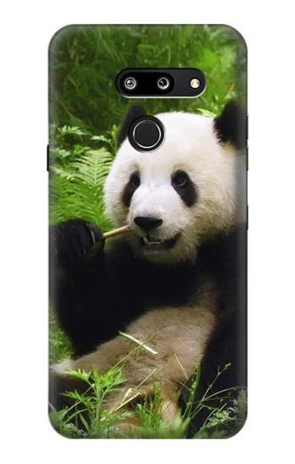 W1073 Panda Enjoy Eating Hard Case and Leather Flip Case For LG G8 ThinQ