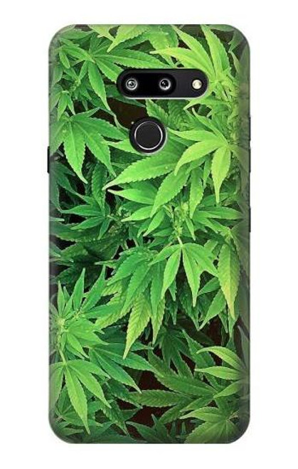 W1656 Marijuana Plant Hard Case and Leather Flip Case For LG G8 ThinQ