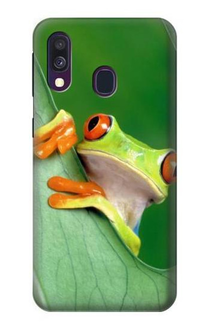 W1047 Little Frog Hard Case and Leather Flip Case For Samsung Galaxy A40