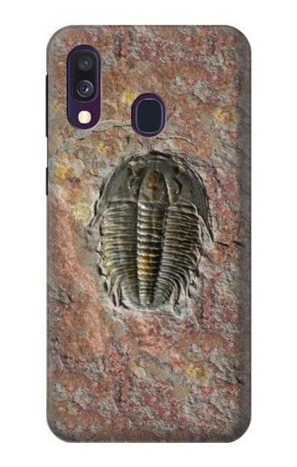 W1454 Trilobite Fossil Hard Case and Leather Flip Case For Samsung Galaxy A40