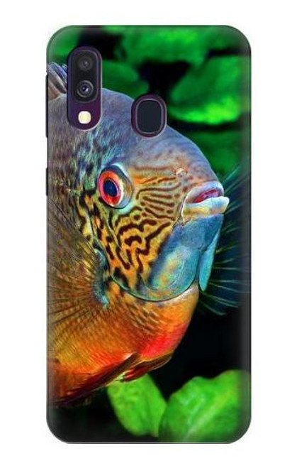 W1812 Cichlid Fish Hard Case and Leather Flip Case For Samsung Galaxy A40