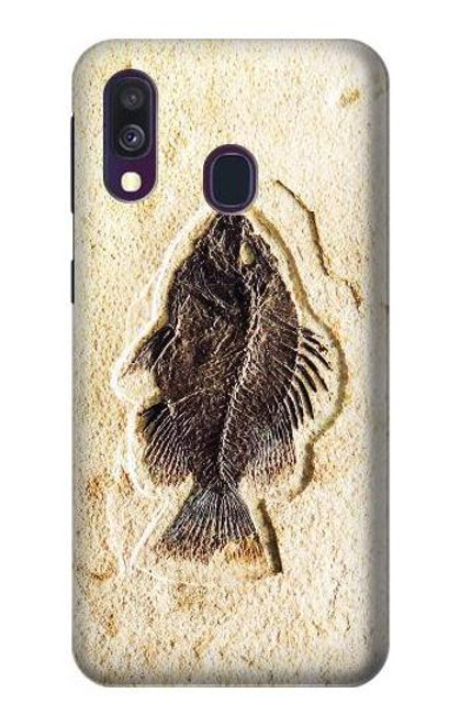 W2562 Fossil Fish Hard Case and Leather Flip Case For Samsung Galaxy A40