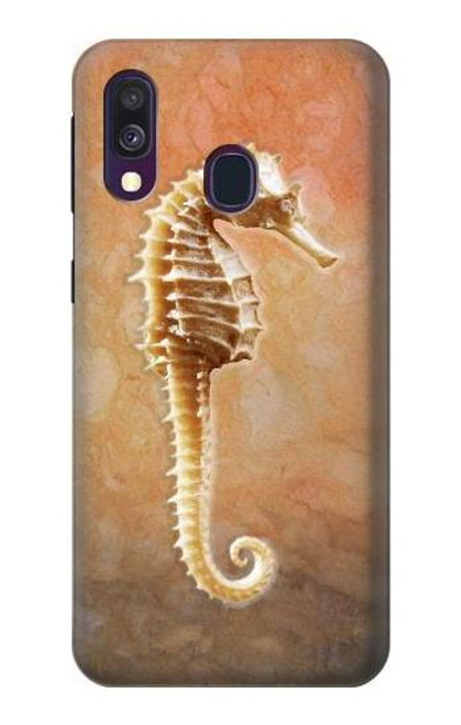 W2674 Seahorse Skeleton Fossil Hard Case and Leather Flip Case For Samsung Galaxy A40