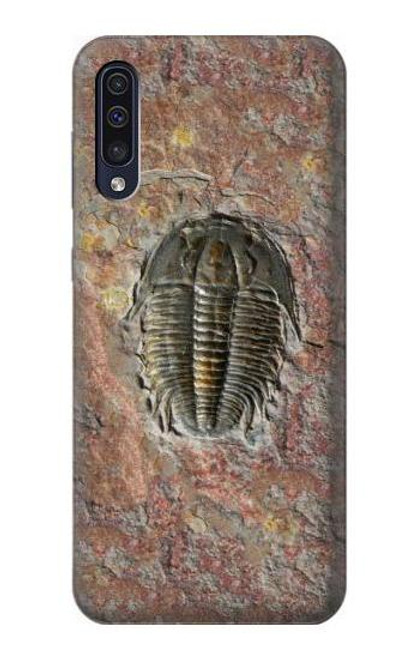 W1454 Trilobite Fossil Hard Case and Leather Flip Case For Samsung Galaxy A50