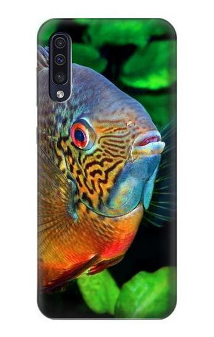 W1812 Cichlid Fish Hard Case and Leather Flip Case For Samsung Galaxy A50