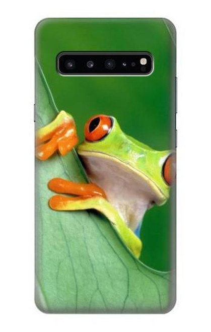 W1047 Little Frog Hard Case and Leather Flip Case For Samsung Galaxy S10 5G