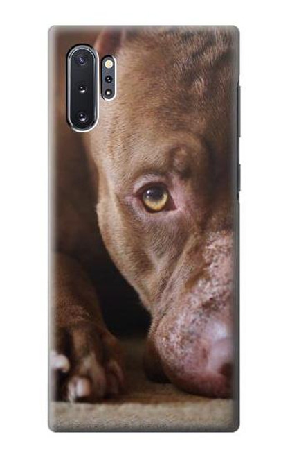 W0519 PitBull Face Hard Case and Leather Flip Case For Samsung Galaxy Note 10 Plus