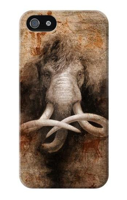 W3427 Mammoth Ancient Cave Art Hard Case and Leather Flip Case For iPhone 5 5S SE