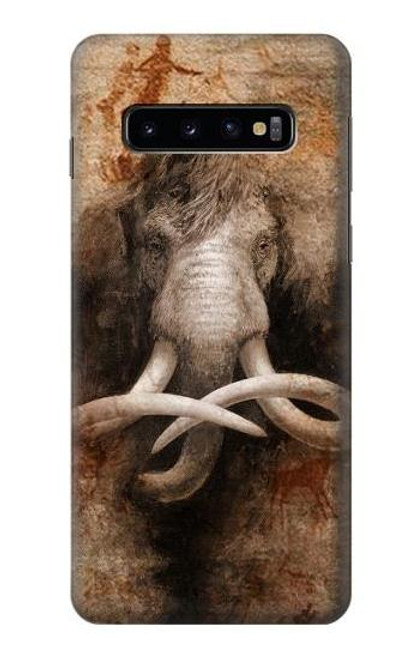 W3427 Mammoth Ancient Cave Art Hard Case and Leather Flip Case For Samsung Galaxy S10