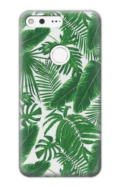 W3457 Paper Palm Monstera Hard Case and Leather Flip Case For Google Pixel XL