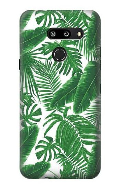 W3457 Paper Palm Monstera Hard Case and Leather Flip Case For LG G8 ThinQ
