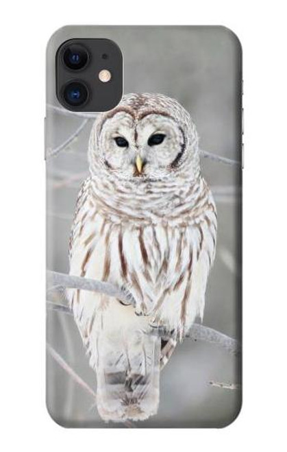 W1566 Snowy Owl White Owl Hard Case and Leather Flip Case For iPhone 11