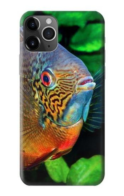 W1812 Cichlid Fish Hard Case and Leather Flip Case For iPhone 11 Pro