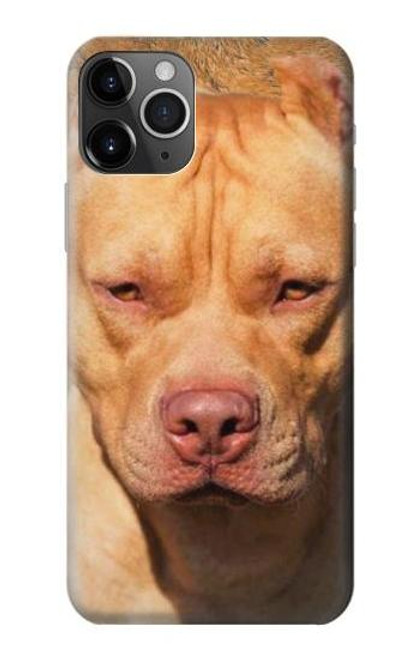 W2903 American Pitbull Dog Hard Case and Leather Flip Case For iPhone 11 Pro