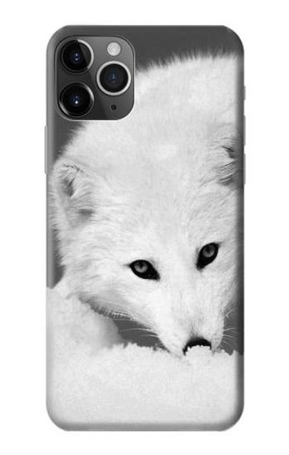 W2569 White Arctic Fox Hard Case and Leather Flip Case For iPhone 11 Pro Max