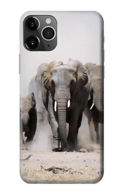 W3142 African Elephant Hard Case and Leather Flip Case For iPhone 11 Pro Max