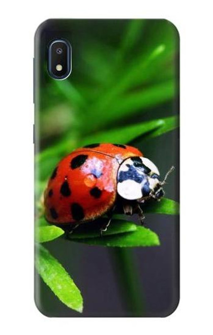 W0263 Ladybug Hard Case and Leather Flip Case For Samsung Galaxy A10e