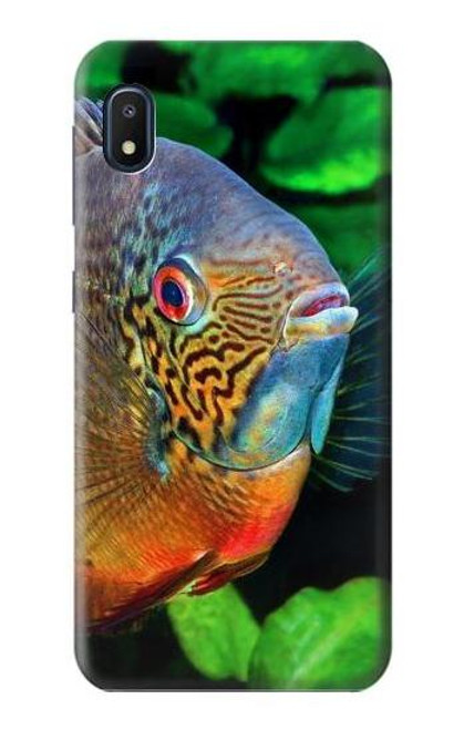 W1812 Cichlid Fish Hard Case and Leather Flip Case For Samsung Galaxy A10e