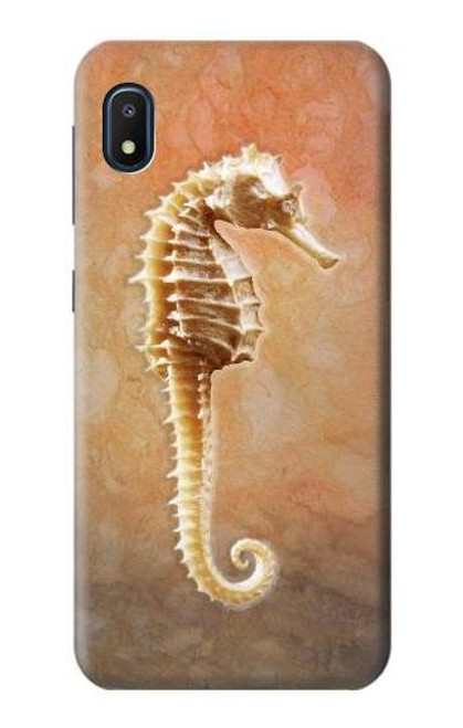 W2674 Seahorse Skeleton Fossil Hard Case and Leather Flip Case For Samsung Galaxy A10e