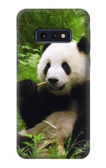 W1073 Panda Enjoy Eating Hard Case and Leather Flip Case For Samsung Galaxy S10e