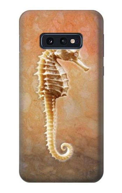 W2674 Seahorse Skeleton Fossil Hard Case and Leather Flip Case For Samsung Galaxy S10e