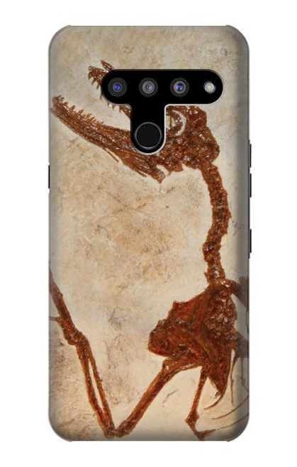 W0379 Dinosaur Fossil Hard Case and Leather Flip Case For LG V50, LG V50 ThinQ 5G