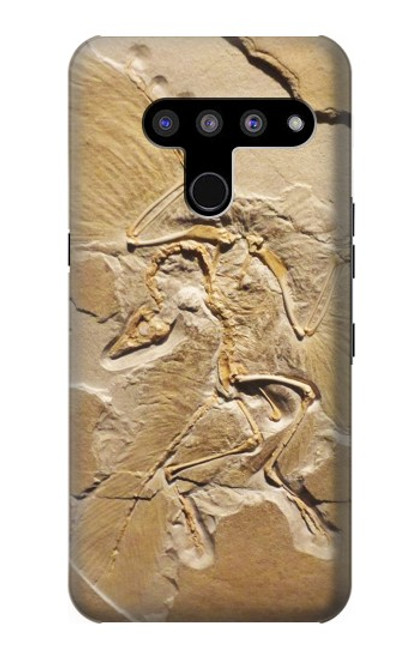 W0380 Dinosaur Fossil Hard Case and Leather Flip Case For LG V50, LG V50 ThinQ 5G