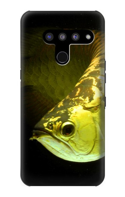 W1021 Gold Arowana Fish Hard Case and Leather Flip Case For LG V50, LG V50 ThinQ 5G