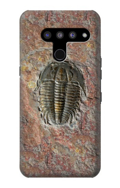 W1454 Trilobite Fossil Hard Case and Leather Flip Case For LG V50, LG V50 ThinQ 5G